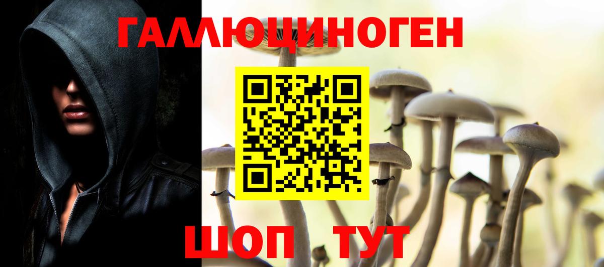 Псилоцибиновые грибы Magic Shrooms  наркотики  Вход с VPN  Новоуральск  Псилоцибиновые грибы ЛСД 